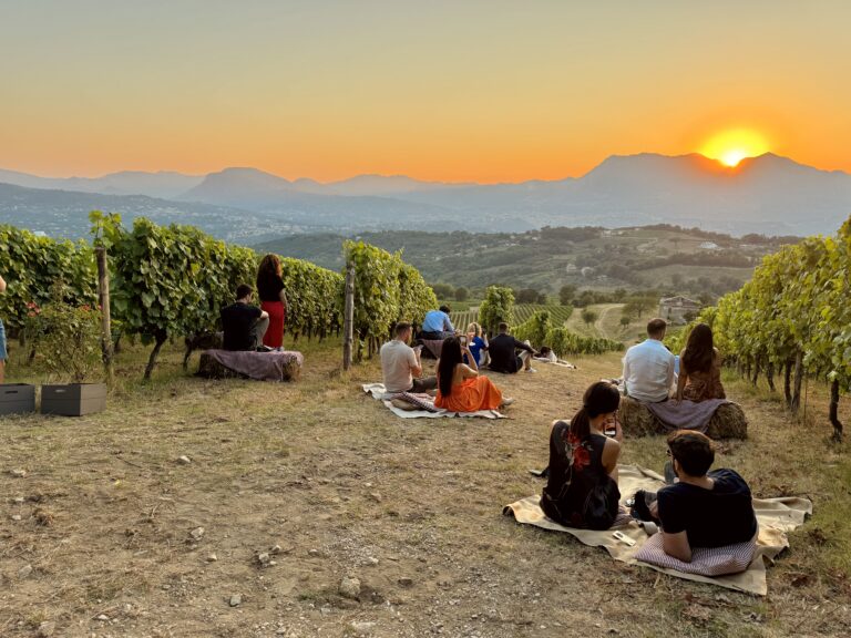 Ein Aperetivo auf dem Weinberg