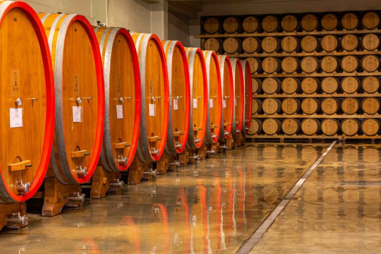 Feudi di San Gregorio, Irpinia, Campagna, Italy