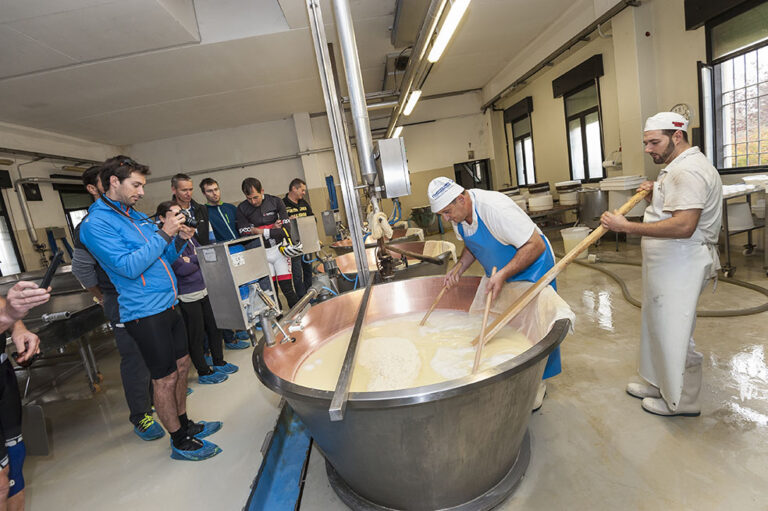 Geführter Besuch einer handwerklichen Parmesanfabrik auf der Fahrradreise durch die Emilia-Romagna auf der Tour von Bologna nach Parma