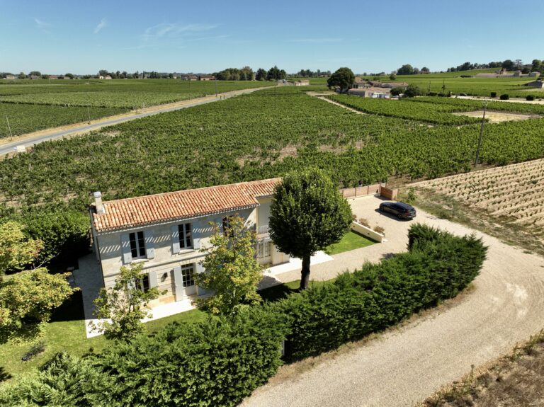Ausblick auf die Felder Saint Emilion