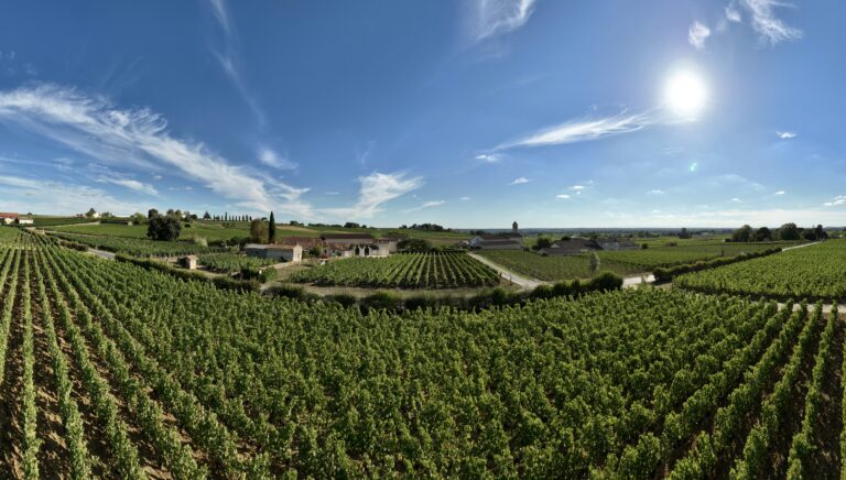 Aussicht auf die Weinberge von Saint Émilion