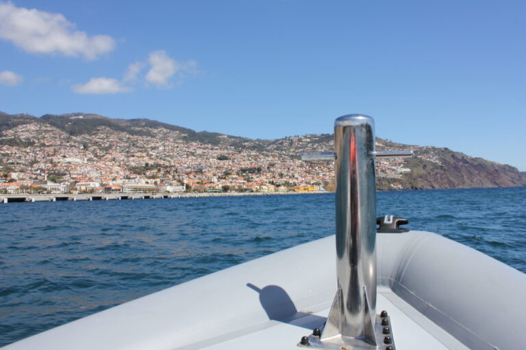 Anblick auf Funchal vom Boot