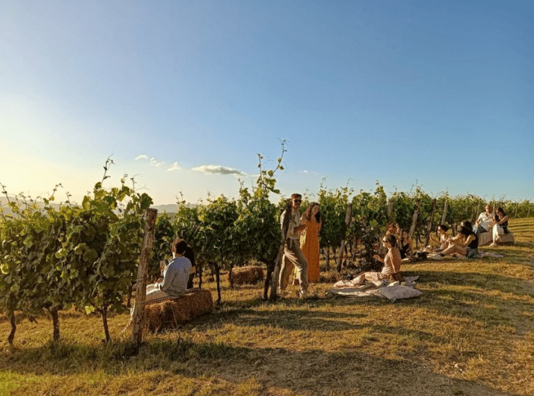 Entspannung auf dem Weinberg