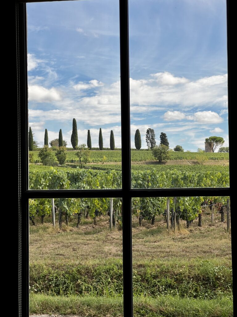 Blick auf die Weinreben aus dem Fenster