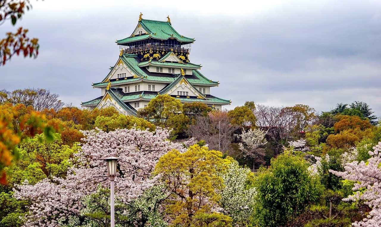Osaka Castle umgeben von blühenden japanischen Kirschbäumen